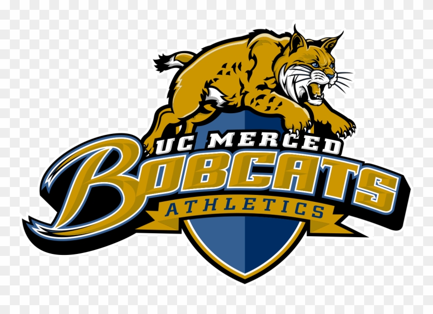 Uc Merced Golden Bobcats Wikipedia Cheer Megaphone - Uc Merced Athletics Logo Clipart