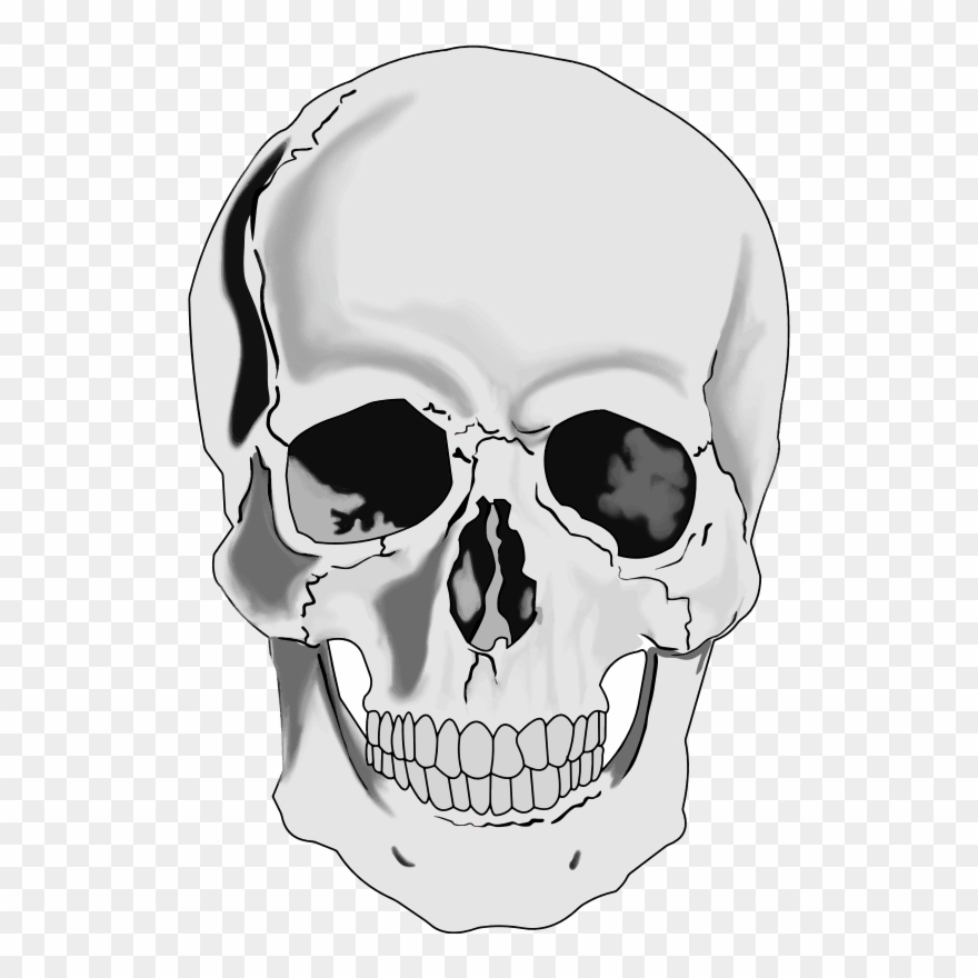 Human Skull Clipart - Png Download
