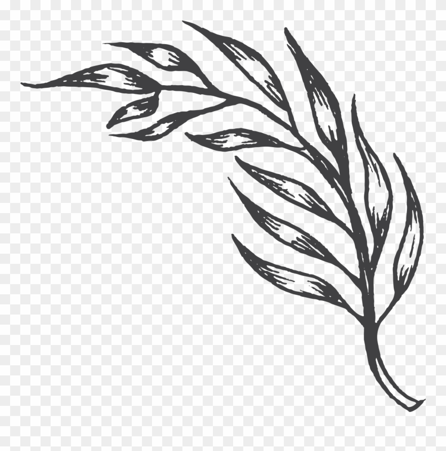 Come Join Us At The Farm Every Wednesday & Friday At - Business Card Clipart