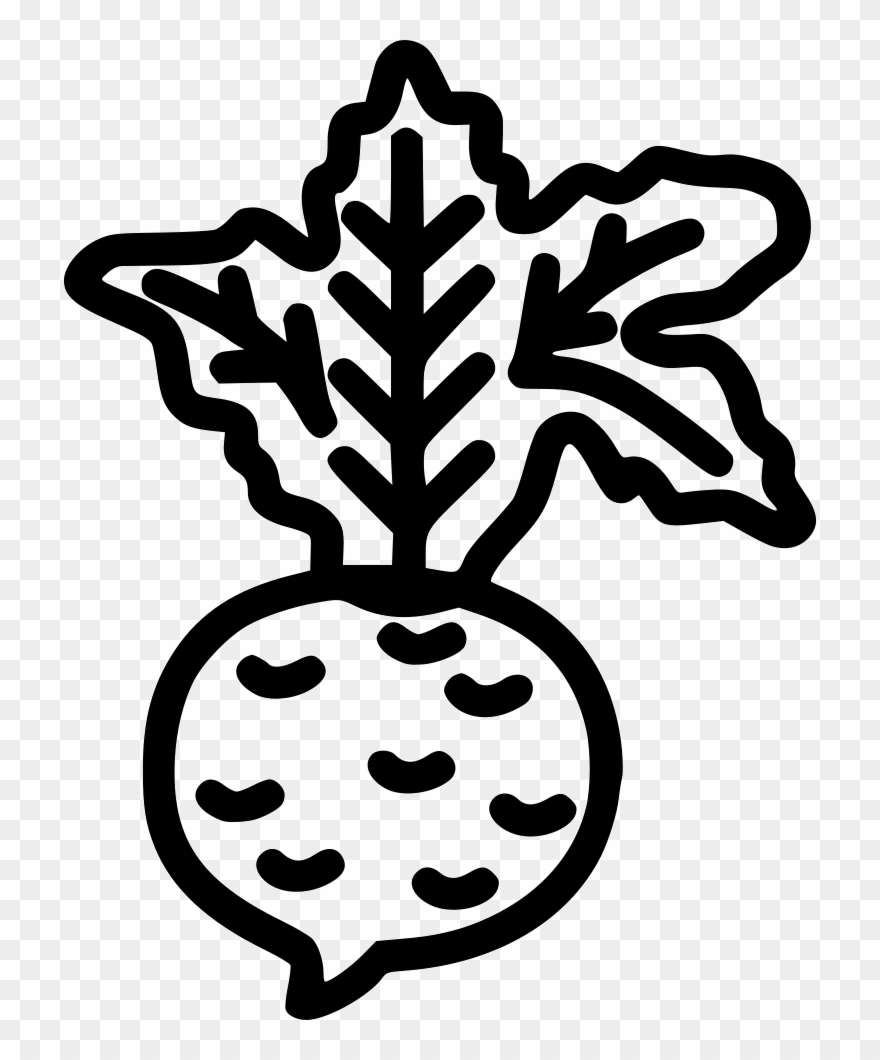 Vegetable Beet Root Radish Healthy Comments Clipart