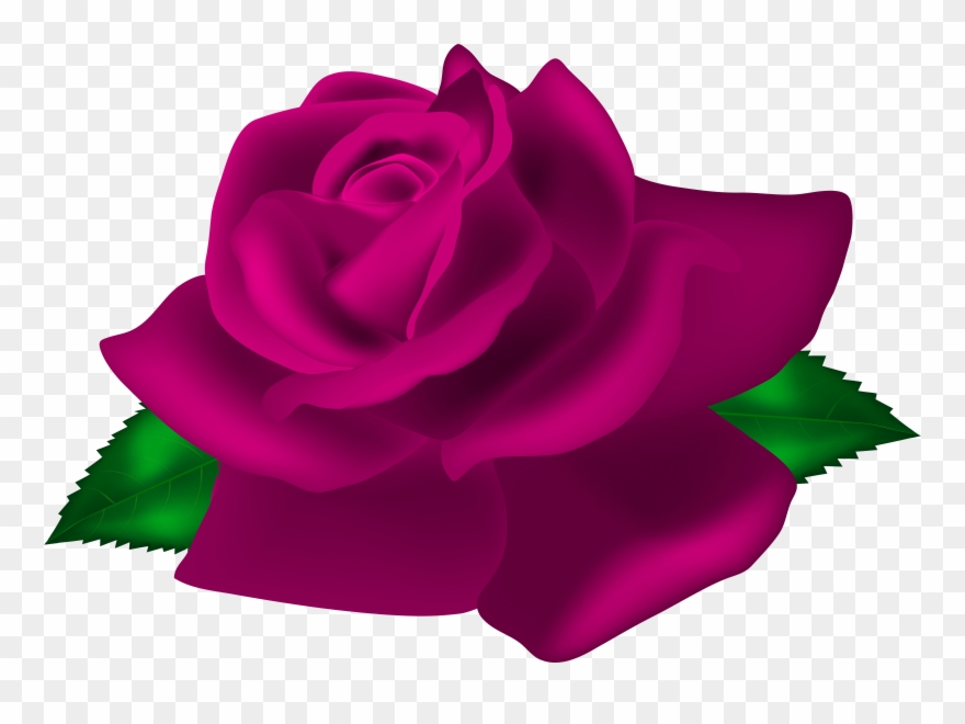 Red Rose Png Clipart