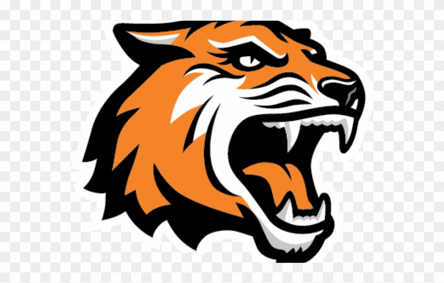 Rit Tiger Logo Clipart
