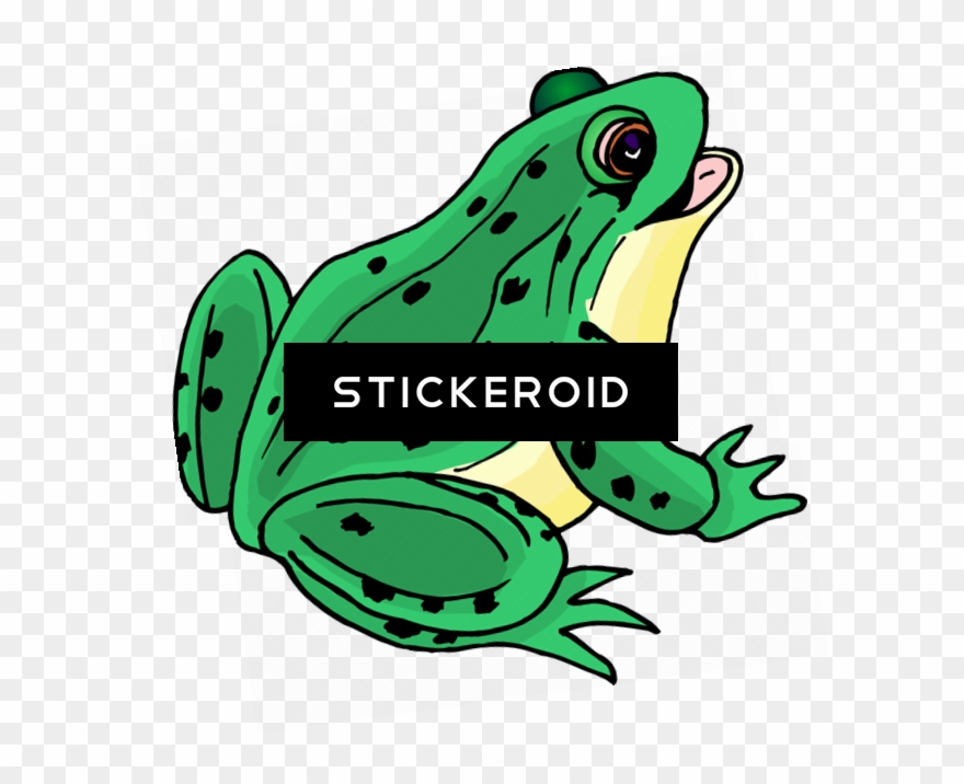 Frog Clip Art - Frog Clipart - Png Download