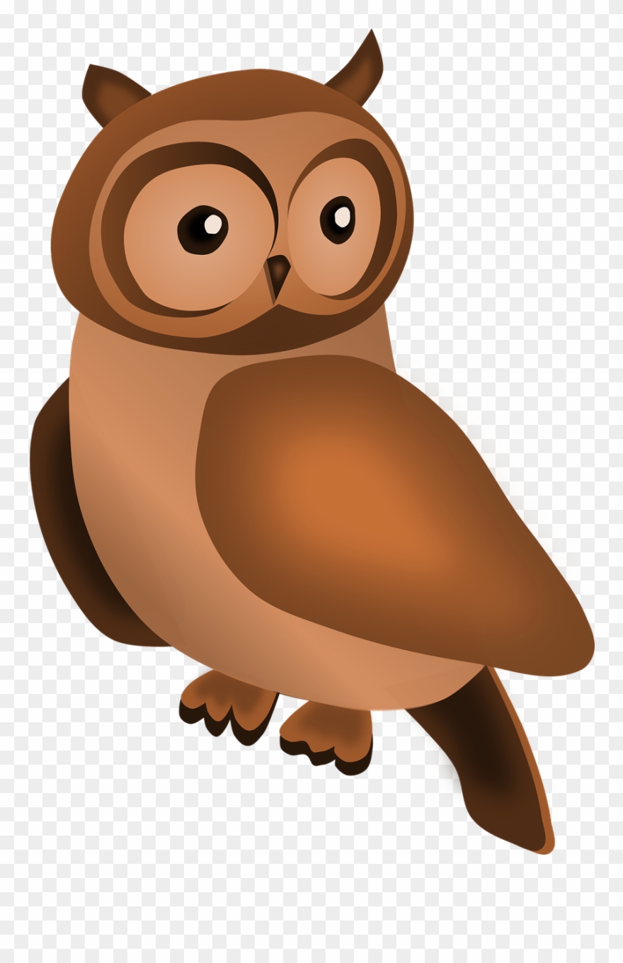 Vector Graphics,free Pictures, Free - Peace Love Owls Shower Curtain Clipart