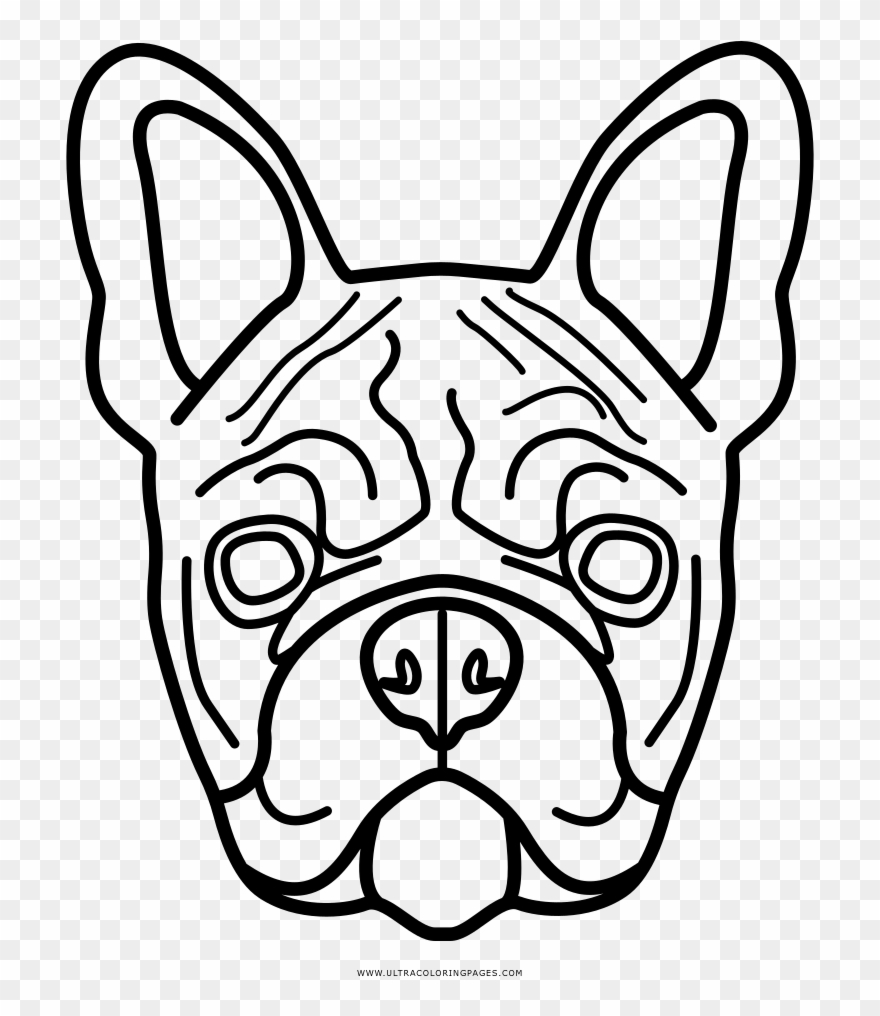Coloring Pages Free Download Xsibe Page Ultra - Bulldog Frances Para Colorear Clipart