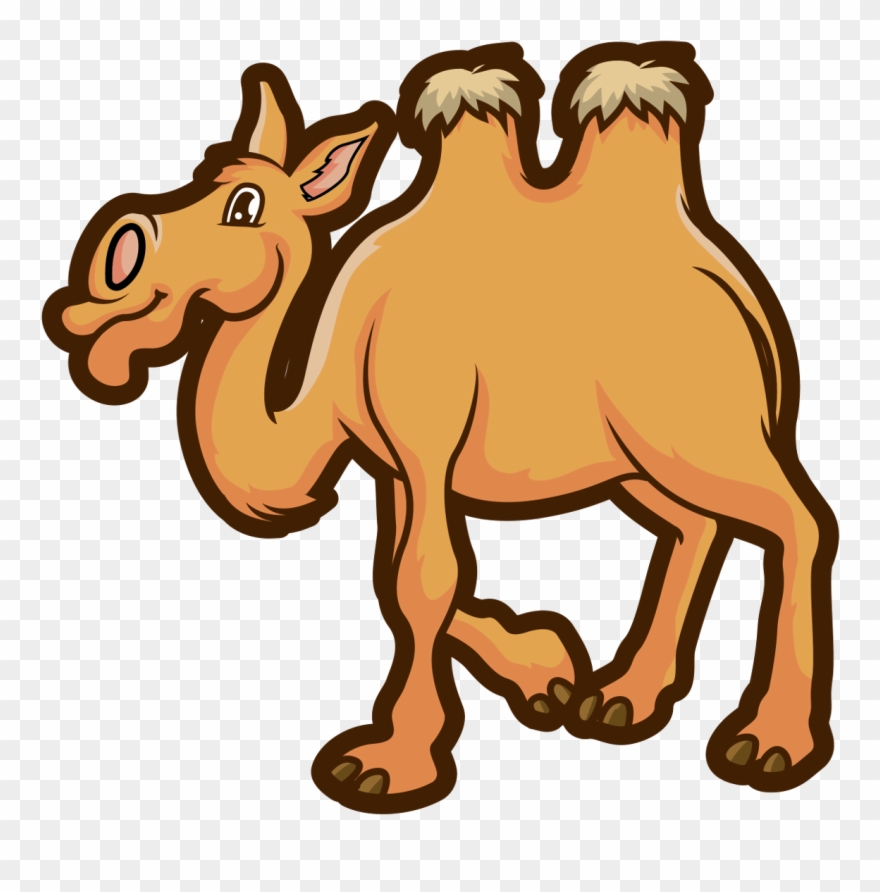 Camel Transparent Domestic Animal - Horse Clipart