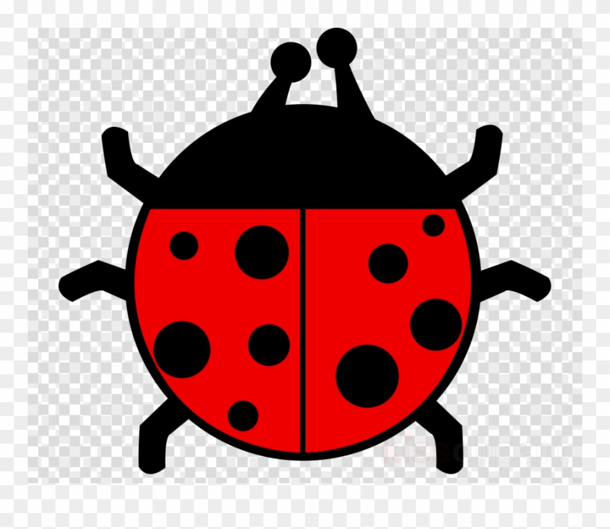 Ladybug Png Clipart Ladybird Beetle Clip Art - 1st Grade Opposite Words Transparent Png