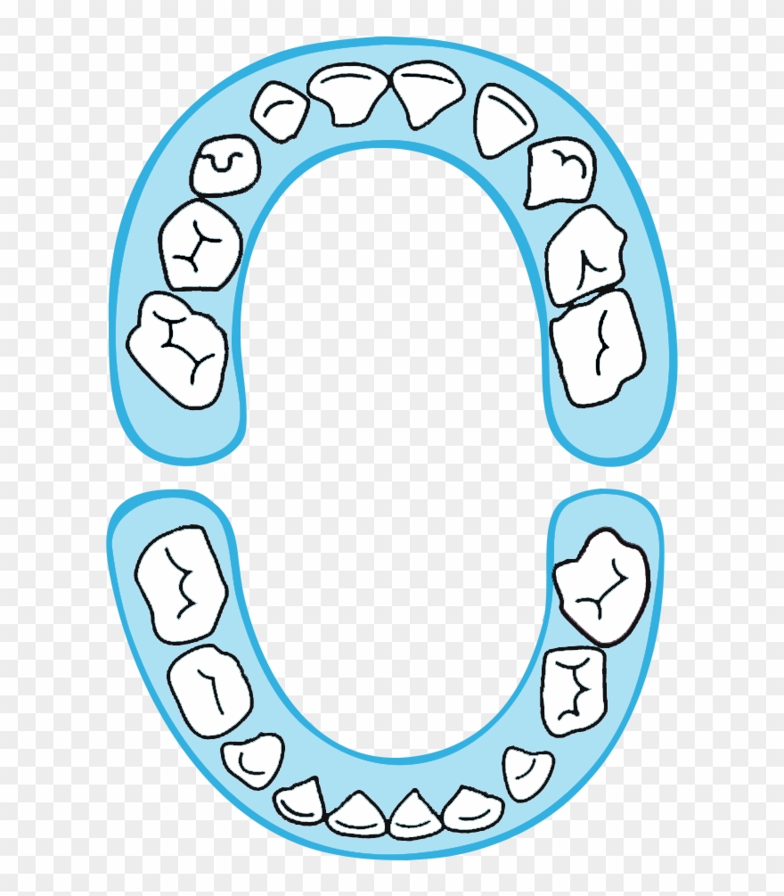 Clip Art - Png Download