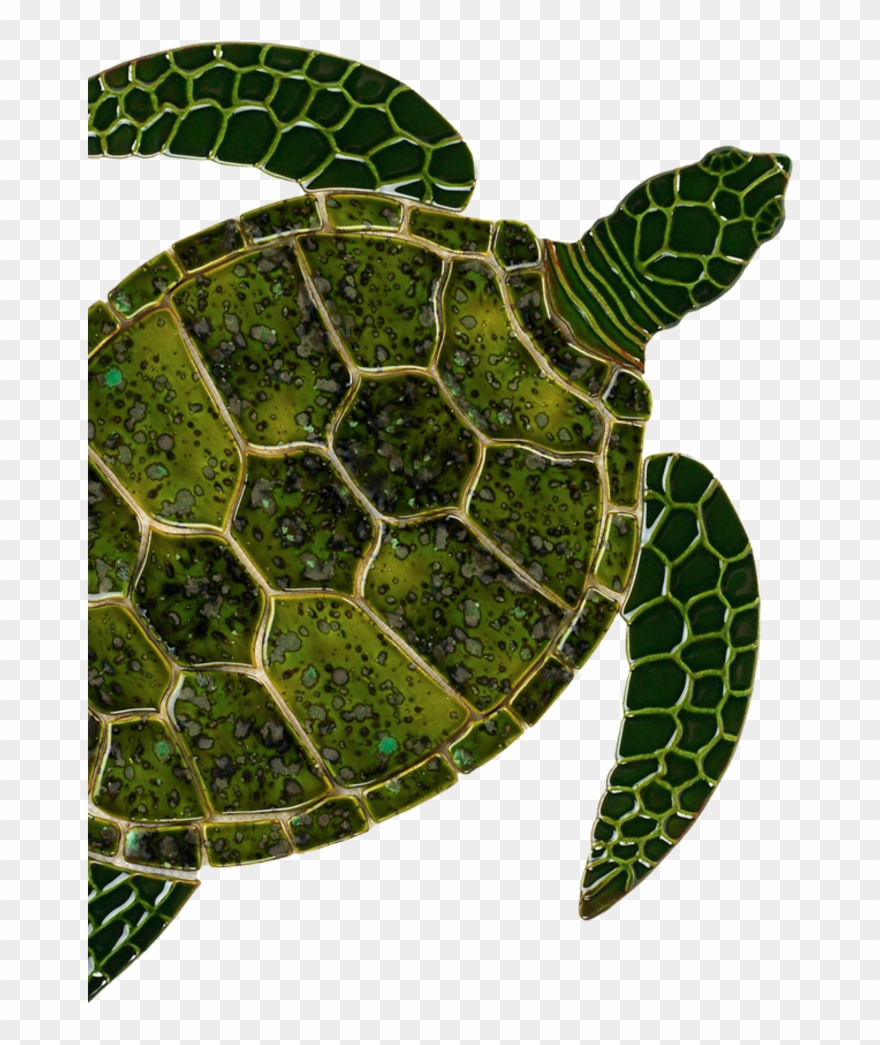 Sea Turtle Art Clipart Sea Turtle Tortoise - Sea Turtle Ceramic - Png Download