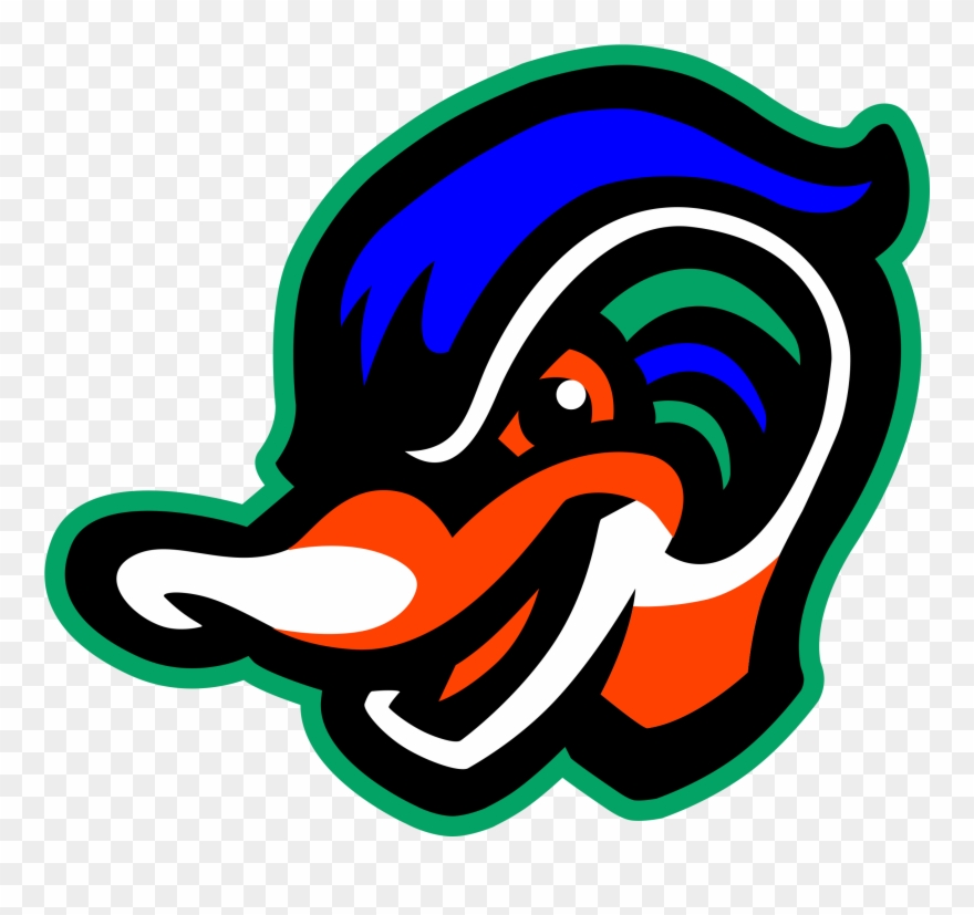 Ds Wood Ducks / 12uaa Transparent Stock Down East Wood Ducks Logo