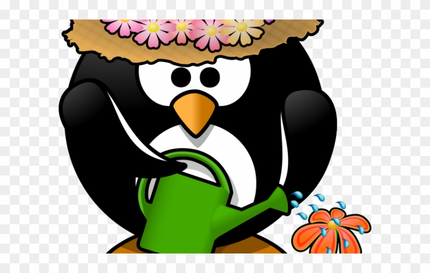 Spring Clipart Penguin - Colors Of A Penguin - Png Download