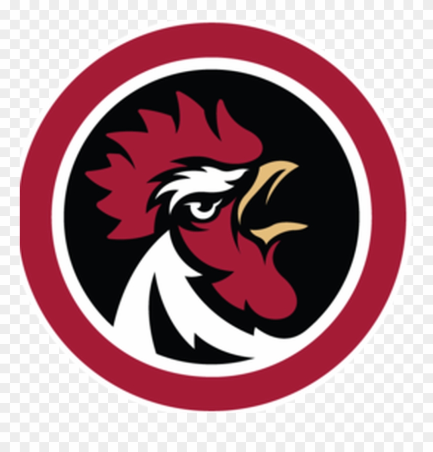 An Interview With Former Gamecock Baseball Player Drew - Sb Nation Clipart