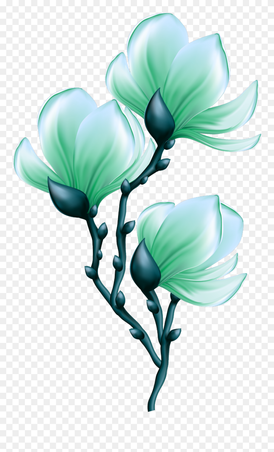 Mq Green Flowers Flower Garden Nature - Posten-es-anmerkung-magnolie Post-it Klebezettel Clipart