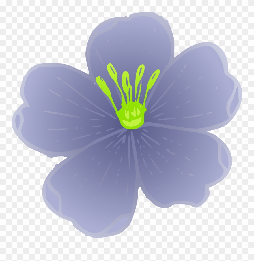 Big Image - Flax Plant Clip Art - Png Download