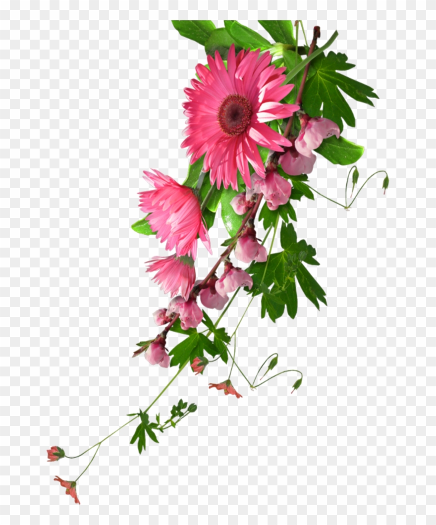 Mq Pink Flowers Flower Garden Nature - Real Flowers Clip Art - Png Download