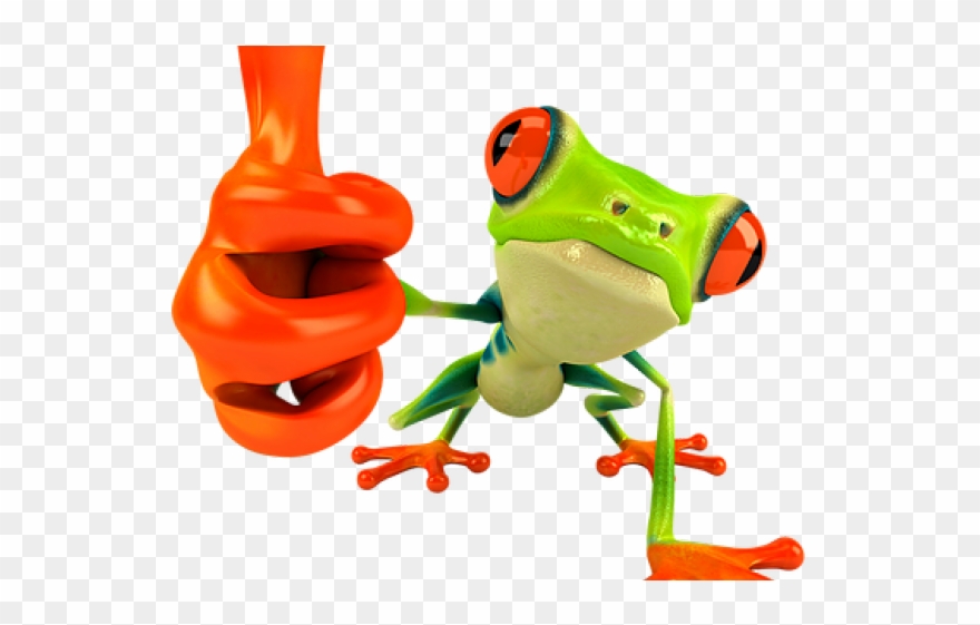 Red Eyed Tree Frog Clipart Rainforest Animal - Frog In Sunglasses - Png Download