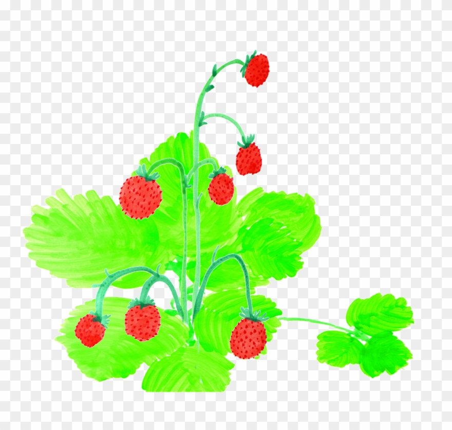 Strawberries Watercolor Handpainted - Watercolor Painting Clipart