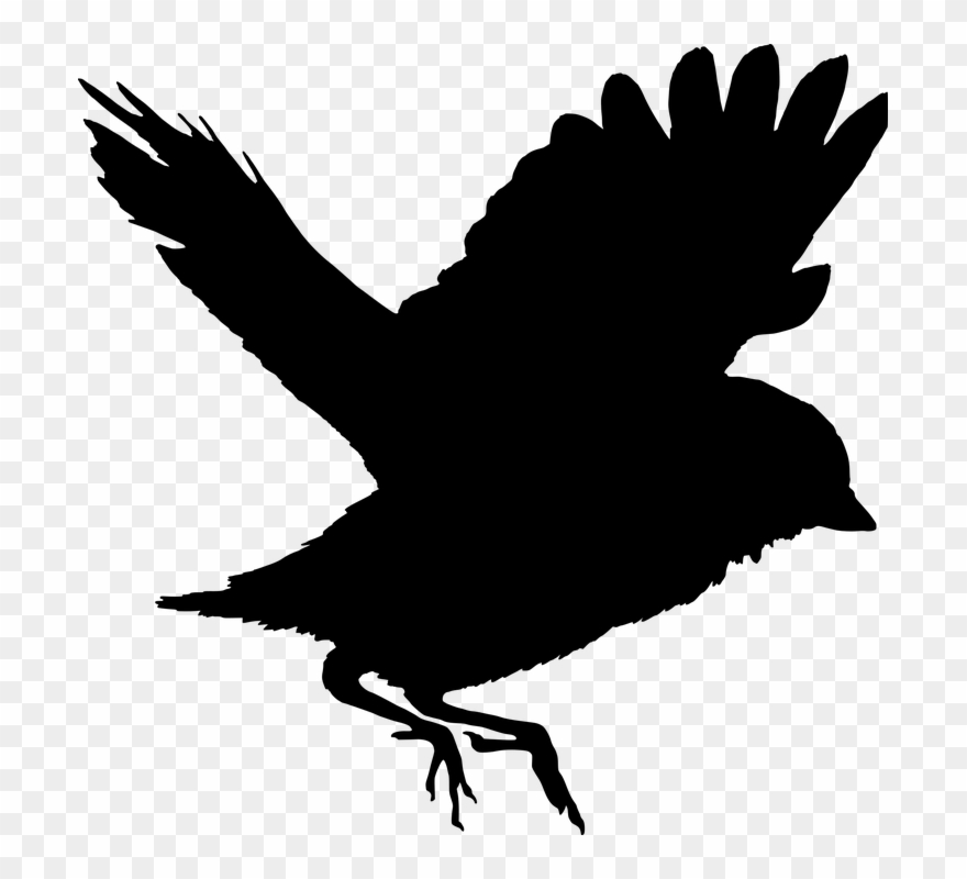 Bird Silhouette - Птица Силует Clipart