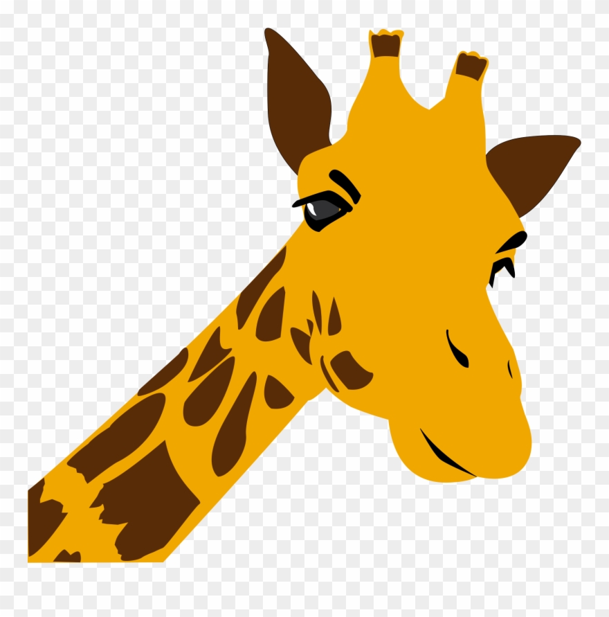 Northern Giraffe Giraffids - Giraffes Coloring Book For Adults [book] Clipart