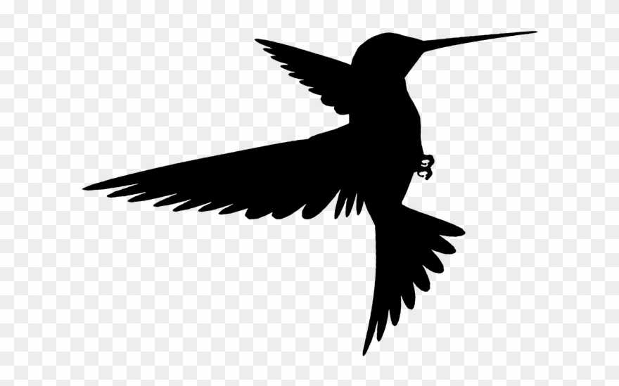 Bird Silhouette - Bird Flying Silhouette Clipart
