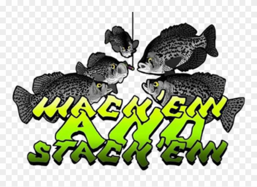Wack'em And Stack'em Custom Baits - Portable Network Graphics Clipart