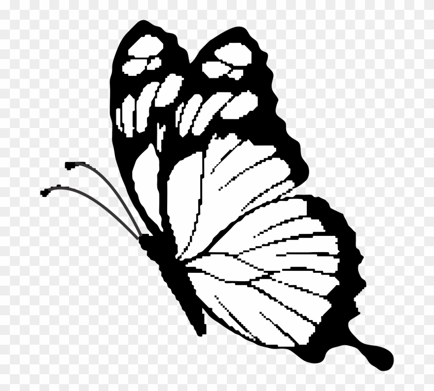 Butterfly - Brush-footed Butterfly Clipart