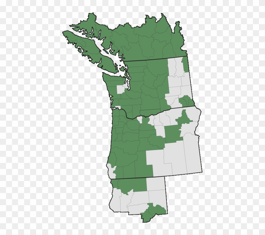 More Information - - Pacific Northwest Clipart