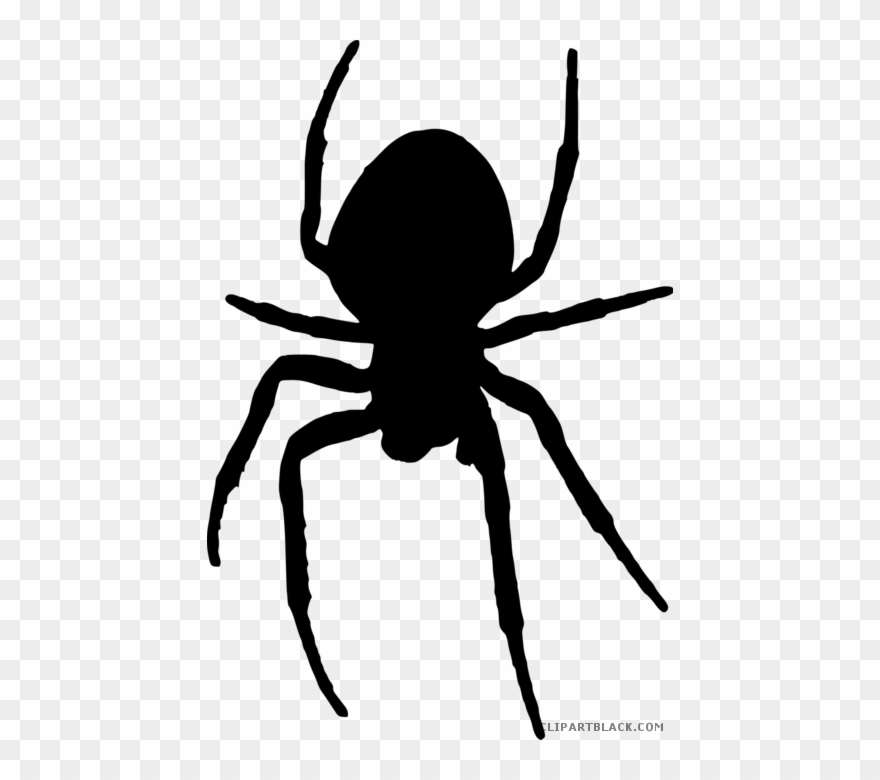 Happy Clipartblack Com Animal Free White Images - Creepy Spider Clip Art - Png Download