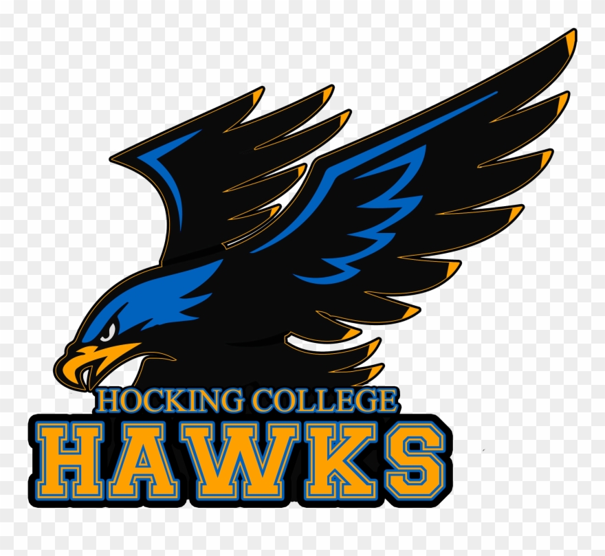 Hawklogo Vector - Hocking College Football Clipart