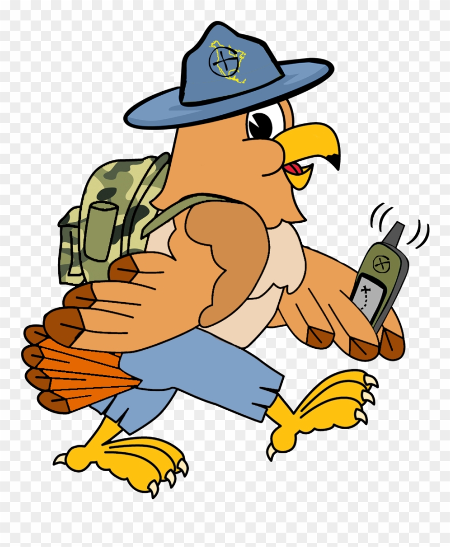 Hank The Hawk, Our Mascot, Was Born On January 2nd, - Cartoon Clipart