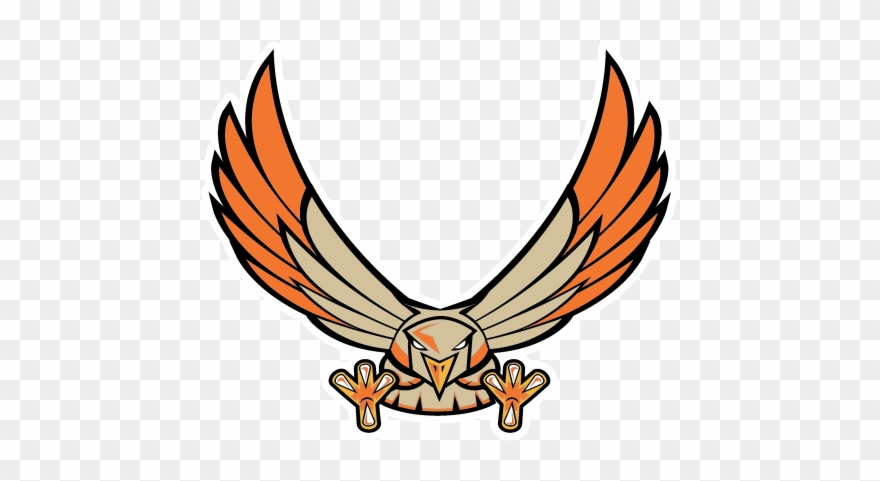 Hawk Clipart