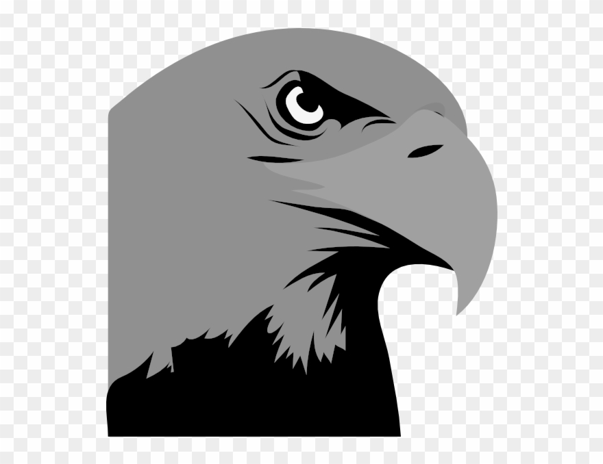 Hawk Clipart Hawk Head Png Black And White Library - Bald Eagle Black And White Clipart Transparent Png