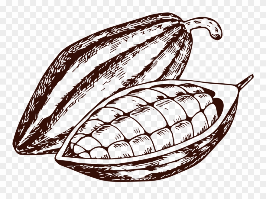 Take A Look At The Whole Process - Drawing Clipart