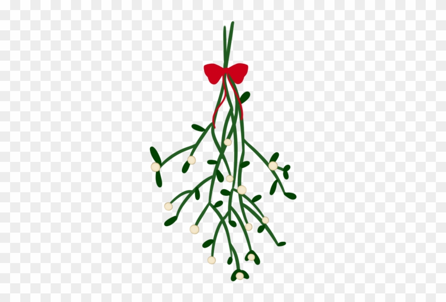 Living On The Edge Of Internet Fame Milkandpies - Mistletoe Transparent Clipart