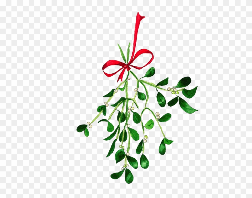 Mistletoe Texture Painting, Ink Painting, Mistletoe, - Watercolour Mistletoe Painting Clipart