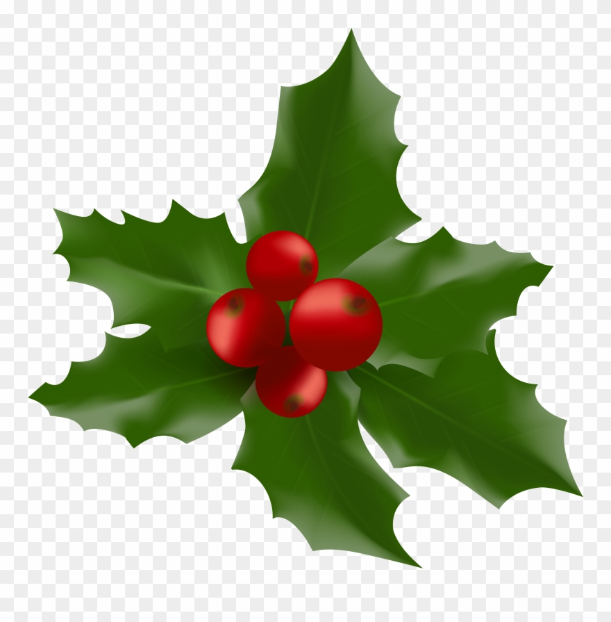 Christmas Mistletoe Large Png Clipart Image - Mistletoe Transparent Png
