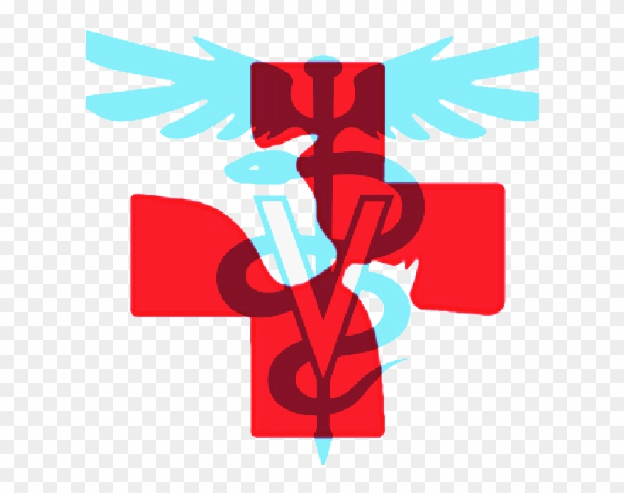 Doctor Symbol Clipart Hospital - Caduceus For Veterinary - Png Download