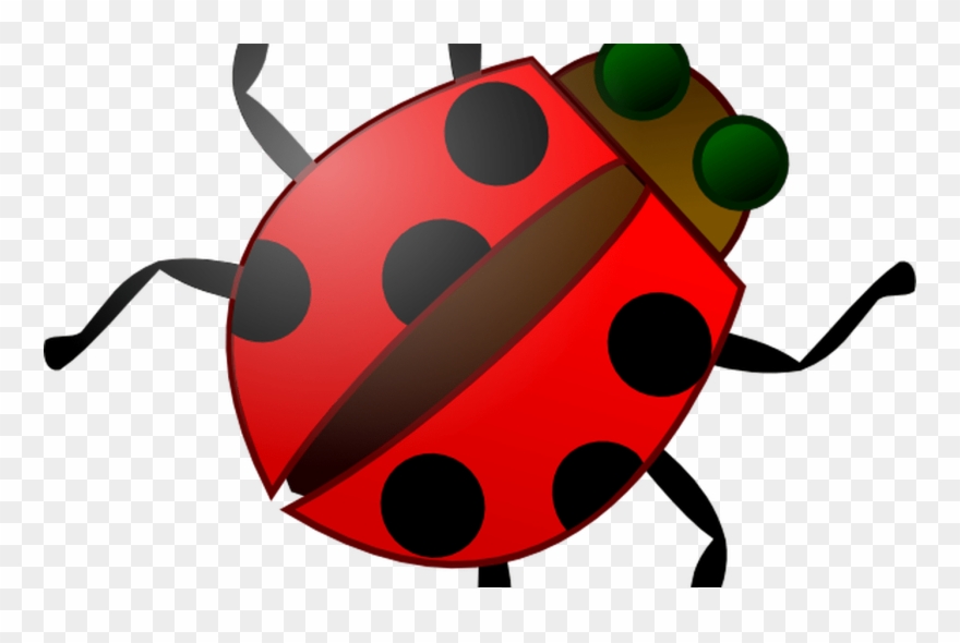 Carson Dellosa Insect Clipart Hanslodge Cliparts - Bug Cartoon Black And White - Png Download