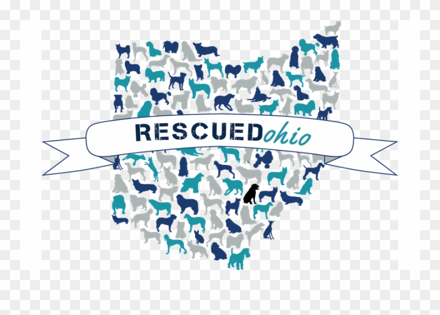 Love Promise Stories From Hatfield Subaru - Graphic Design Clipart