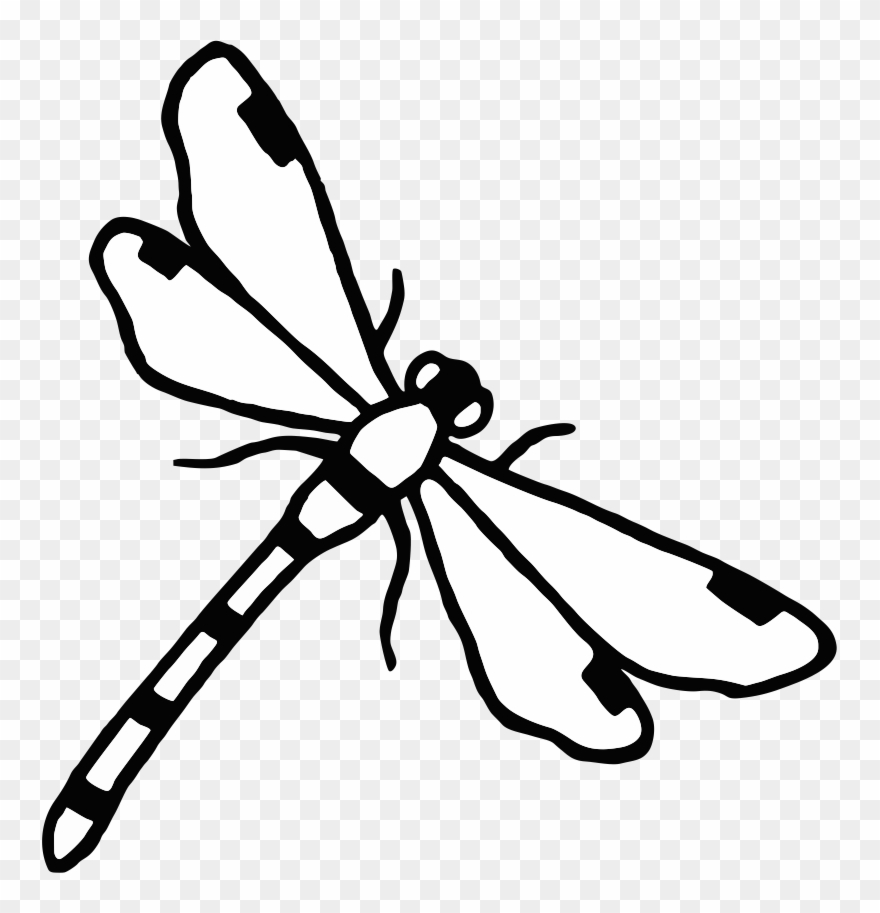 ✓ - School Clipart