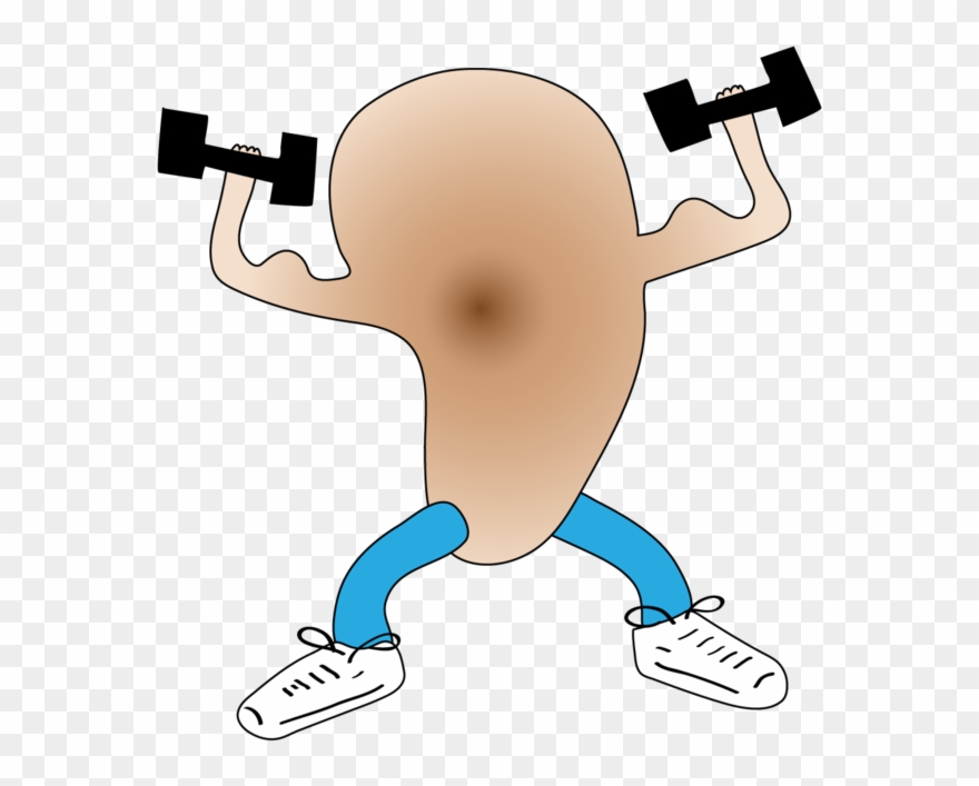 Phil's Eartrainer En Mac App Store Clipart