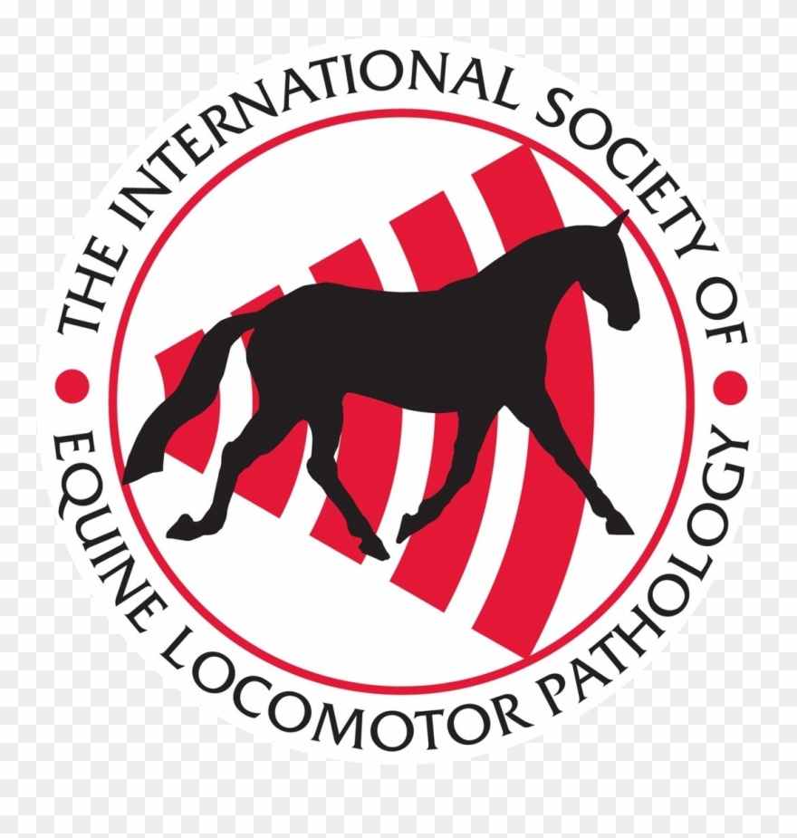 Clinical Experiences With Radial Shock Wave Therapy - Volleyball Federation Fivb Logo Clipart