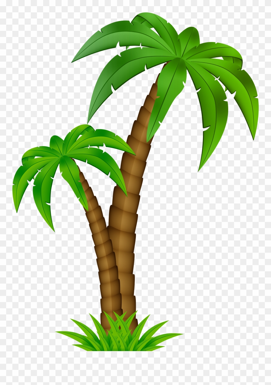 Palm Tree Cartoon Png Clipart