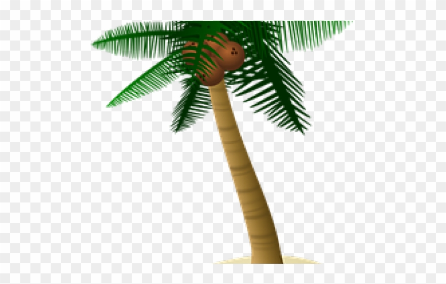 Palm Tree Clipart Plm - Uses Of Coconut Tree In Hindi - Png Download