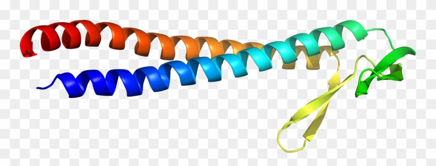 Vector Black And White Jewellery Line Art Transprent Clipart