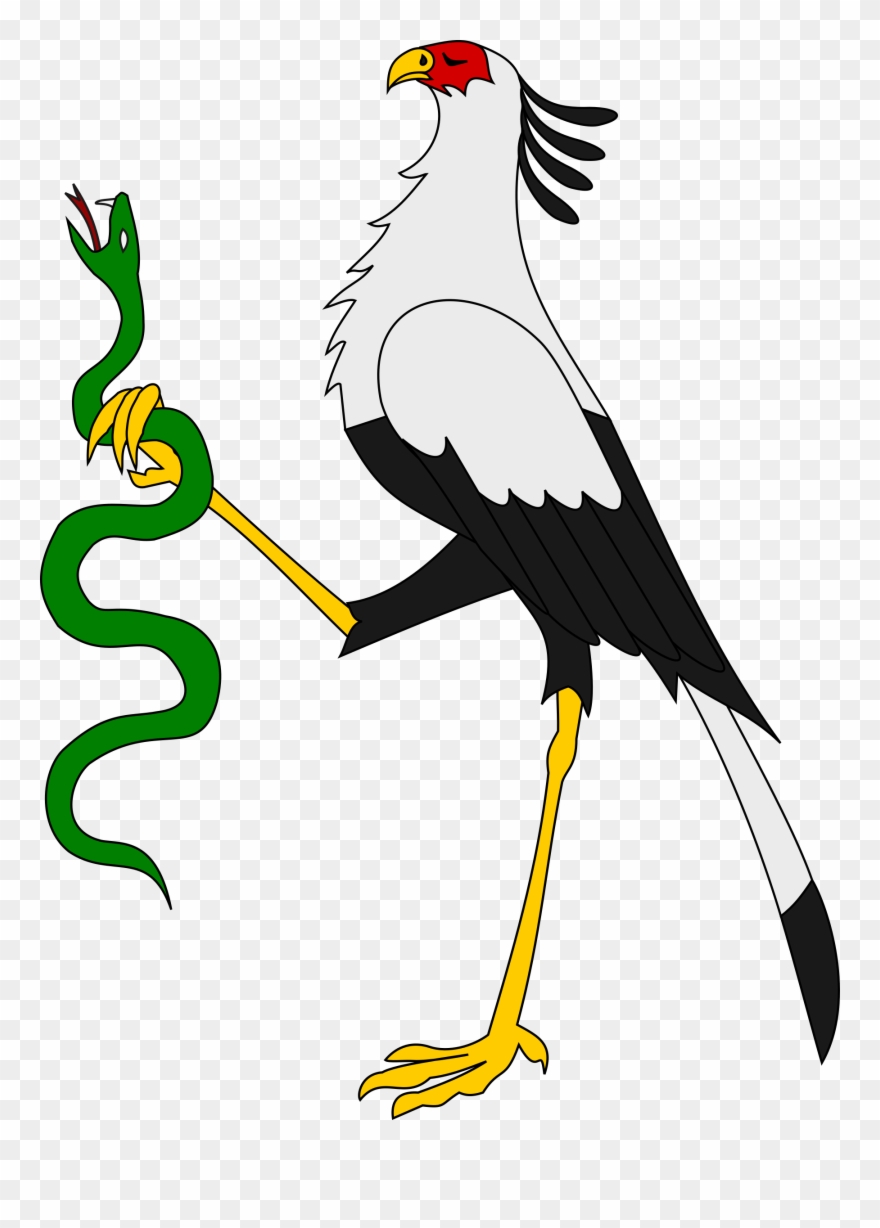 All Photo Png Clipart - Rooster Transparent Png