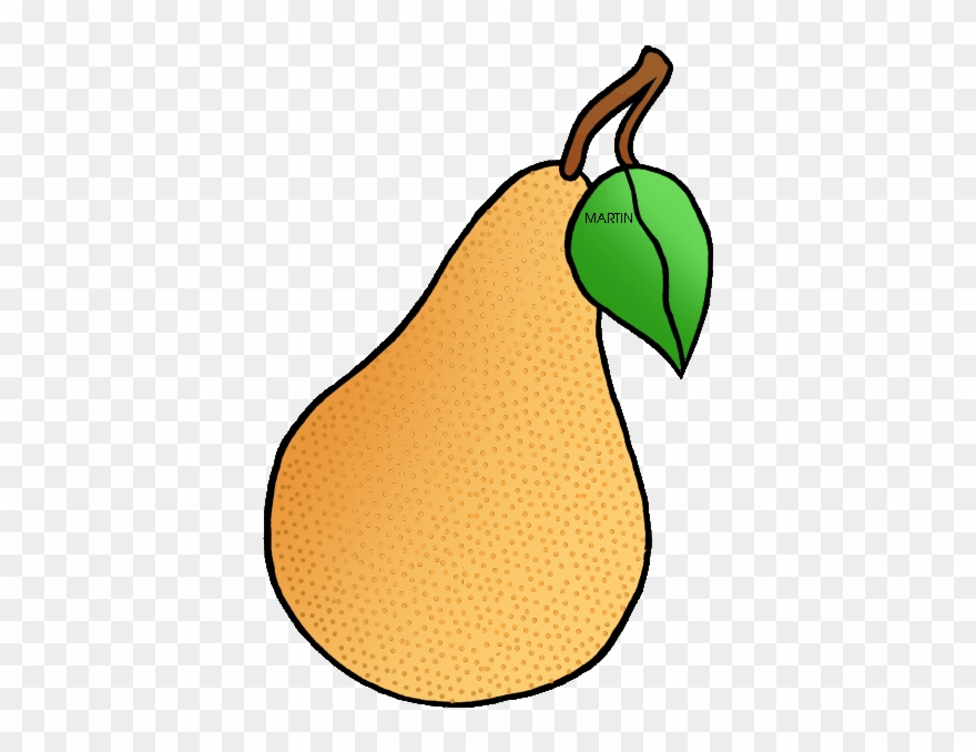Orange Fruit Clipart Phillip Martin - Oregon State Fruit - Png Download