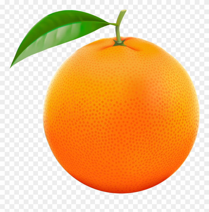 Orange Fruit Clipart Orane - Orange Fruit Orange Silhouette - Png Download