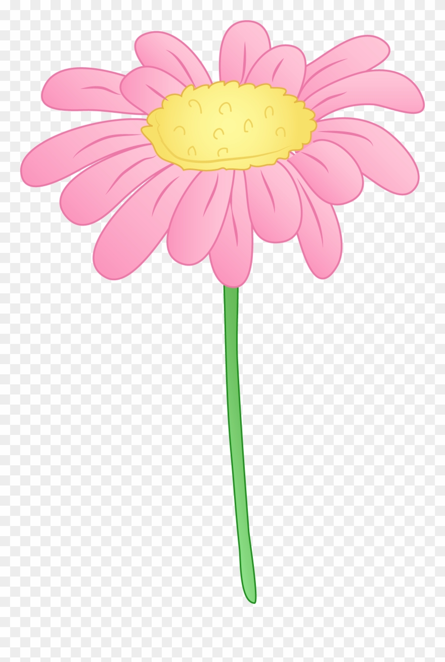 Gerbera Daisy Clipart - Daisy Flower Png Clipart Transparent Png