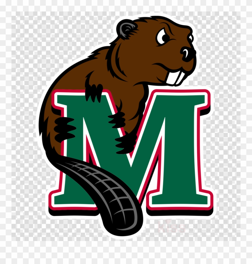 Download Minot State Beavers Logo Clipart Minot State - Minot State Beavers Logo - Png Download
